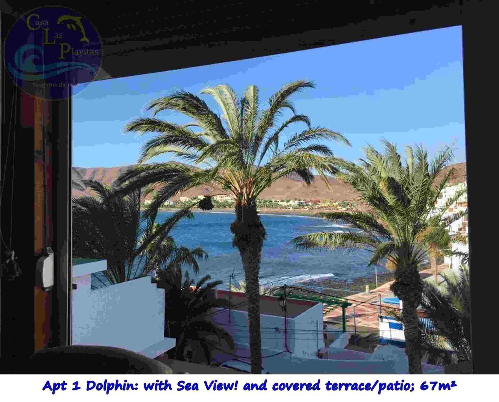 Casa Las Playitas -Clp- Best Sea View - In 1 Minute Ocean Las Playas Екстер'єр фото